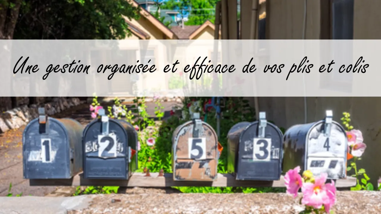Une gestion organisée et efficace de vos plis et colis